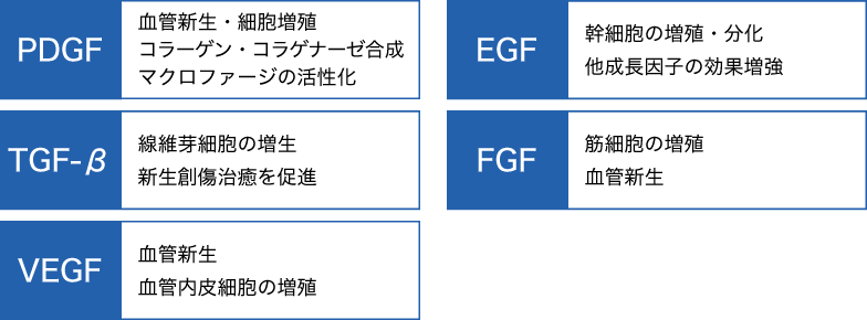 PRP療法の流れ